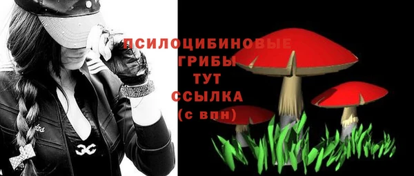 ешки Алзамай