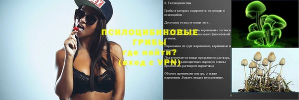 ешки Алзамай