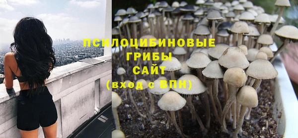 прущий лед Алексин