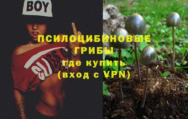 твердый Алексеевка