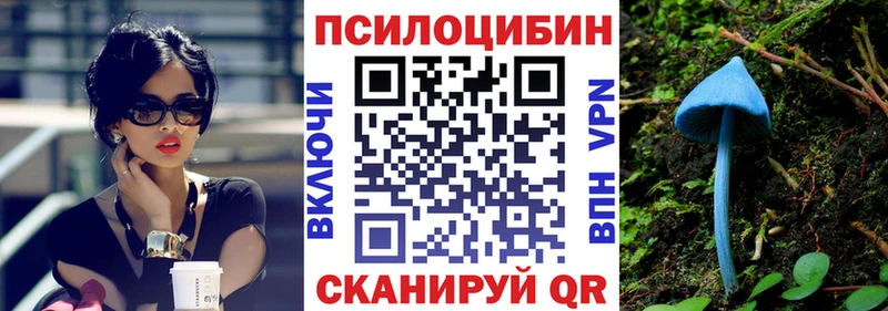 мега зеркало  Череповец  Галлюциногенные грибы Psilocybine cubensis 