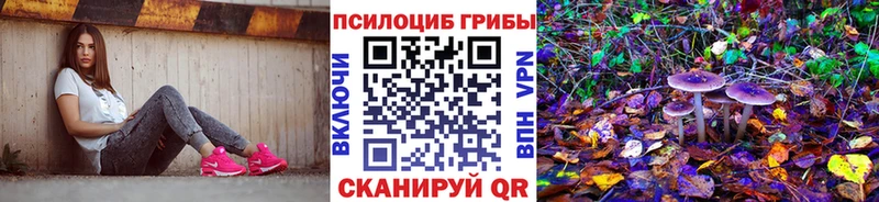 Псилоцибиновые грибы Cubensis Череповец